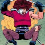 daredevil de ann nocenti